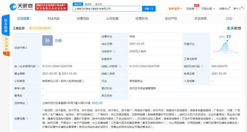 軟件的技術(shù)開發(fā)與銷售 創(chuàng)新驅(qū)動與市場拓展的雙重路徑