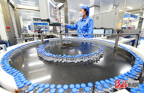 衡水新聞網 技術驅動下的軟件開發(fā)與市場銷售新篇章