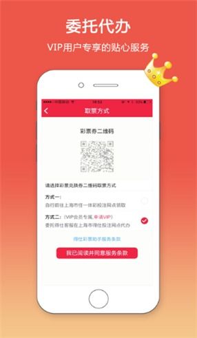 大華彩app軟件的技術開發與銷售策略解析