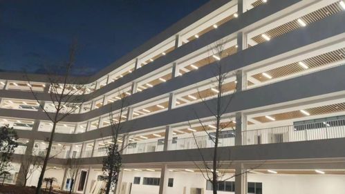 總投資4.2億元 麗水一所新學校建成,今年9月投入使用