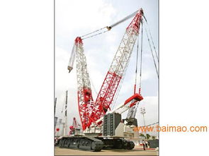 山東優(yōu)質(zhì)履帶吊出租服務(wù)與園林景觀工程設(shè)計(jì)方案